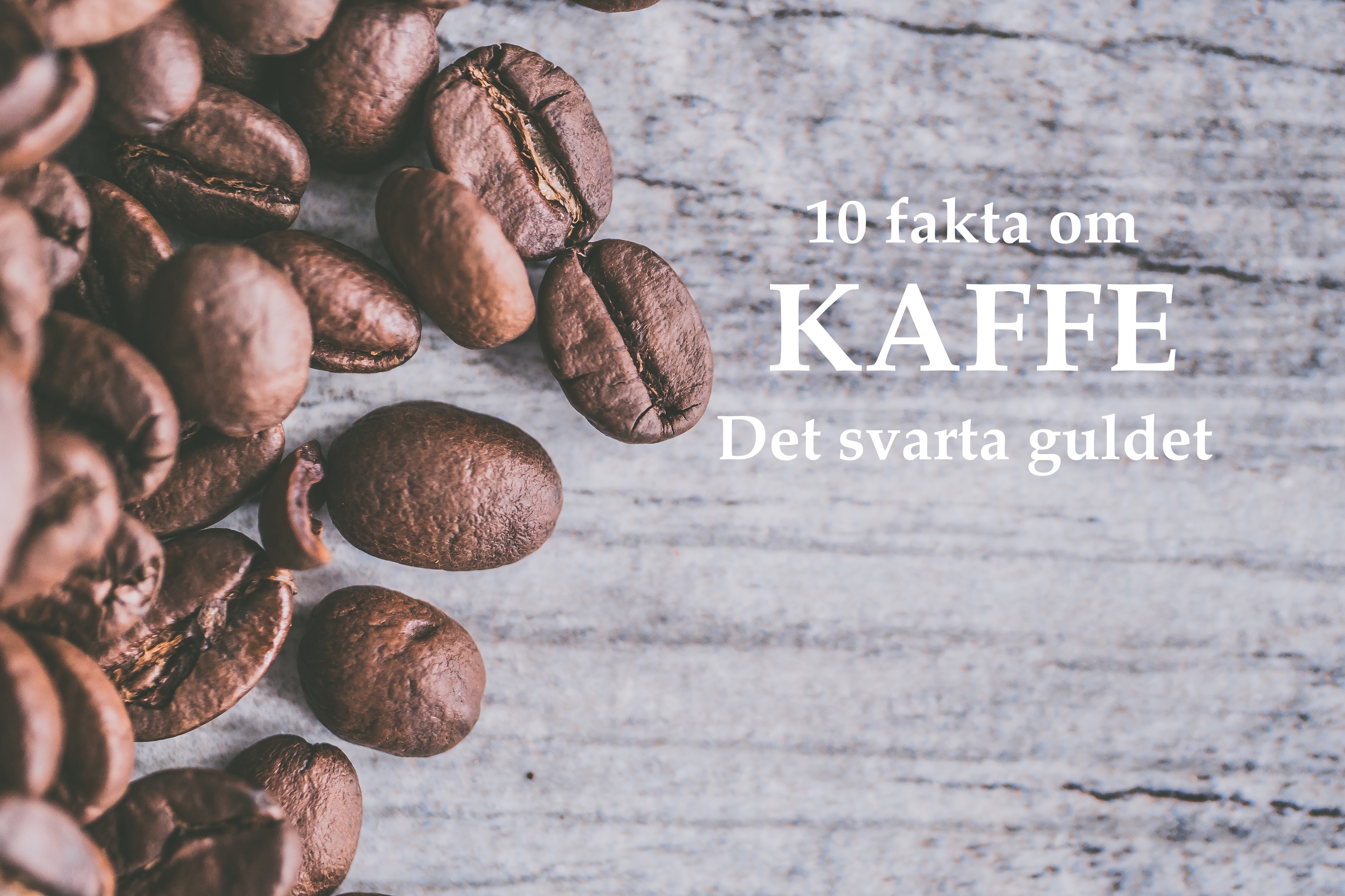 10 fakta om kaffe 